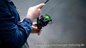 Profi-Angler bezwingt Wels-Giganten – „Absolut brutal“