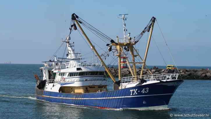 Boomkorvloot wordt steeds flexibeler