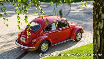VW-Sondermodelle: Frau Liljequists Gespür für das Besondere
