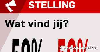 Ach, het komt wel goed met Vitesse