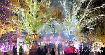 North Edmonton home becoming a haven for Halloween enthusiasts