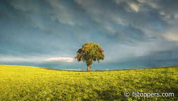 How to Make Your Landscape Photos Pop Using Lightroom