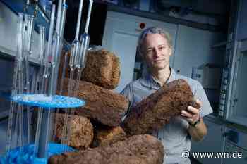 Moore: Schlammig, schaurig und wichtig fürs Klima