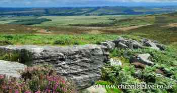 Warning Wildlife Trusts must take views of local people into account after Rothbury Estate purchase
