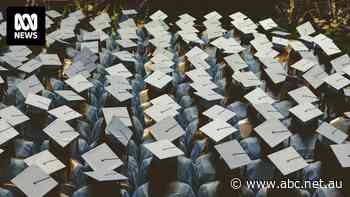 'Cash cows milked by the system': International students on the frontline of housing crisis