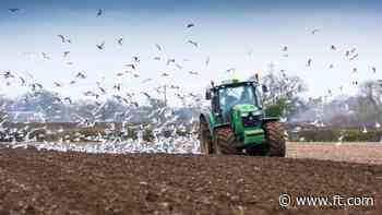 Farmers with assets over £1mn hit by inheritance tax reforms