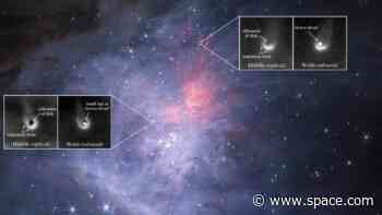 Can 'failed stars' have planets? James Webb Space Telescopes offers clues