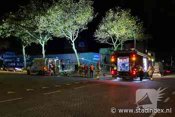 Boom neergehaald nadat wortels drukten op gasleiding na waterlek op Urk 