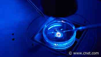Questions About IVF? Here's How In Vitro Fertilization Works