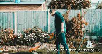Gardening - do it yourself!