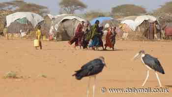 Revealed: The 10 DEADLIEST extreme weather events over the past 20 years - and scientists say climate change made them ALL worse