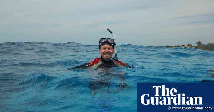 I’m obsessed with whale poop: ‘It can be neon green, bright red – or even sparkle’