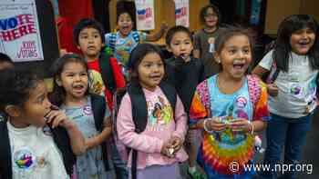 In this school’s election, it’s pizza vs. chicken nuggets, with democracy as the winner