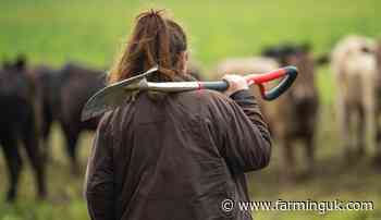 Banks should 'radically rethink' farmer support in green transition