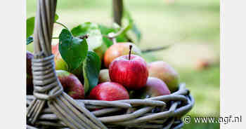 Wollige appelbloedluis bestrijden met schimmels