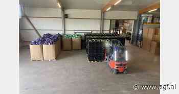 Duitsland: "Sterke groei witte kool en in het bijzonder bloemkool "