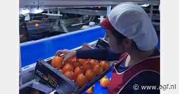 "Het kakiseizoen valt door het noodweer letterlijk in het water"