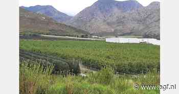 Zware regenval boven Langkloof veroorzaakt geen directe schade