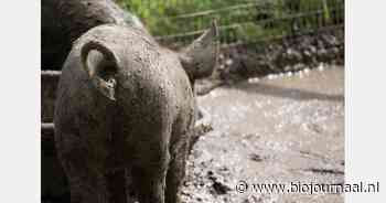 Rick Overesch over samengaan natuur en landbouw in Buitenkans (Oost)
