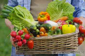 Op pad met biocontroleur Kevin