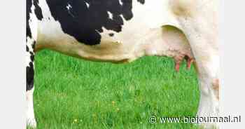 Arla Foods-melkprijs stijgt in november 2024