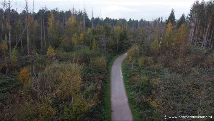 Urk - Nog één winter aanmodderen, dan moet betonnen pad door Urkerbos een feit zijn