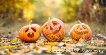 Halloween: The Surprisingly Spooky Scam