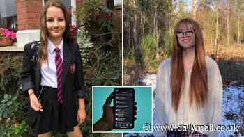 'Sickening' Molly Russell and Brianna Ghey AI chatbots are found on controversial Character.ai site