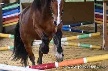 POL-MK: Gestohlenes Pferd - Ergänzung