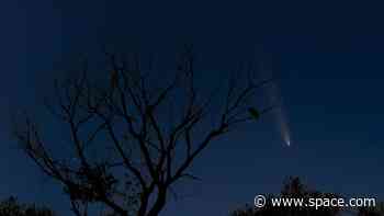 Comets, supermoon, northern lights, oh my! Amazing photos of the celestial Halloween treats of October 2024