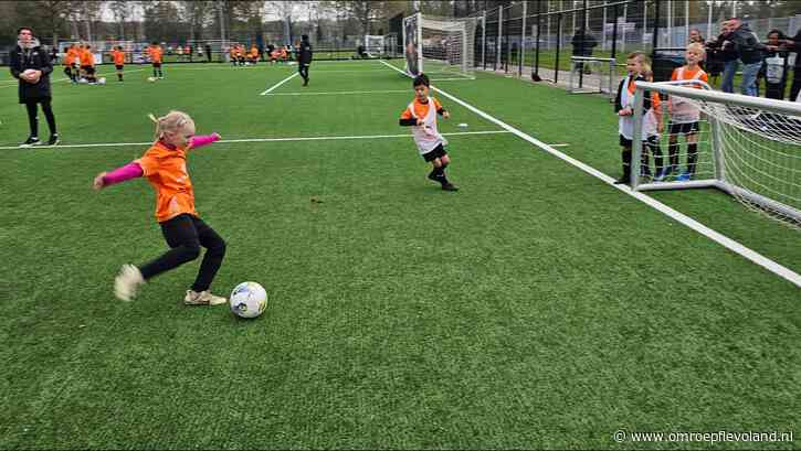 Flevoland - Scouts zoeken langs voetbalvelden naar talenten voor Ajax, Heerenveen en AZ