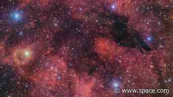 Dark Wolf Nebula shows off a howling good view in awesome Halloween image (video)