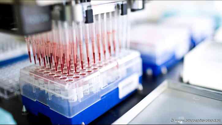 Flevoland - Nieuwsoverzicht 31/10 | Rund met zeldzame blauwtongvariant in Dronten • Almere City schaamt zich