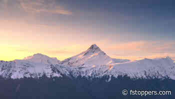 Techniques for Balanced and Dynamic Landscape Compositions