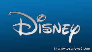 Ex-Disney worker accused of hacking computer menus to add profanities, errors