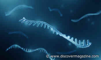 Cancer Research Takes a Leap Thanks to Nobel-Winning MicroRNA Discovery