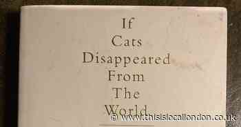 If Cats Disappeared from the World - Book Review