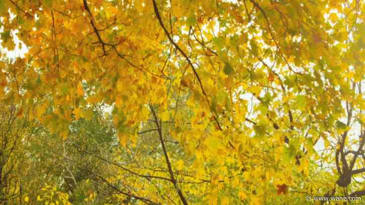 Third driest October allows drought to expand