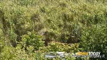 LETTORI - La solita promessa mancata