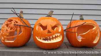 Landratsamt Calw erklärt: Mit Halloween-Kürbis  Tiere füttern – gute Idee oder Finger weg?