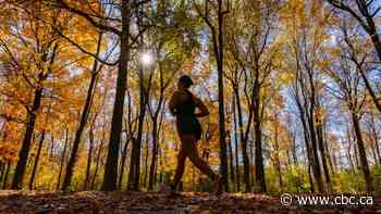 There are plenty of safety tips for female runners. But how do we stop men from assaulting them?