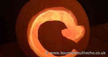 Residents urged to recycle Halloween pumpkins