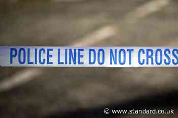 Murder squad launch investigation after man fatally injured in Harrow knife attack