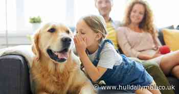 Nearly half of pet owners believe in a special bond with their pets, talking to them regularly