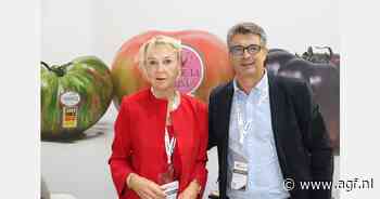 "Na introductie op Spaanse markt steeds meer vraag naar specialty-tomaten voor export"