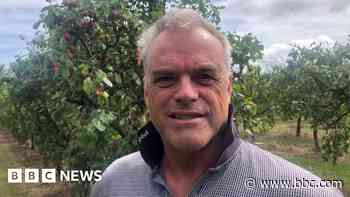 Farm stops pick-your-own business after 52 years