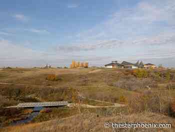 Enjoy the fall season: Five things to do this weekend in Saskatoon, Nov. 1-3