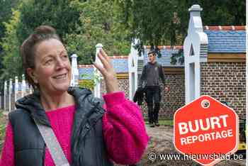 Vijftien Kapellekens zijn weer bijna oord van rust in Mol-Achterbos: “Mijn energie haal ik uit hoe het licht op de daken van de kapelletjes schijnt”