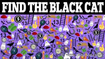 Only geniuses can spot the hidden cat in this spooky Halloween brainteaser in 20 seconds