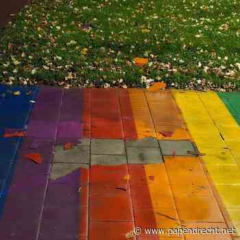 Twee jongens aangehouden voor vernielen regenboogpad